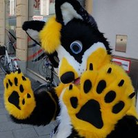 Cadian the yellowblackwhite Husky (@cadianhusky) 's Twitter Profile Photo Cadian the yellowblackwhite Husky (@cadianhusky) 's Twitter Profile Photo
