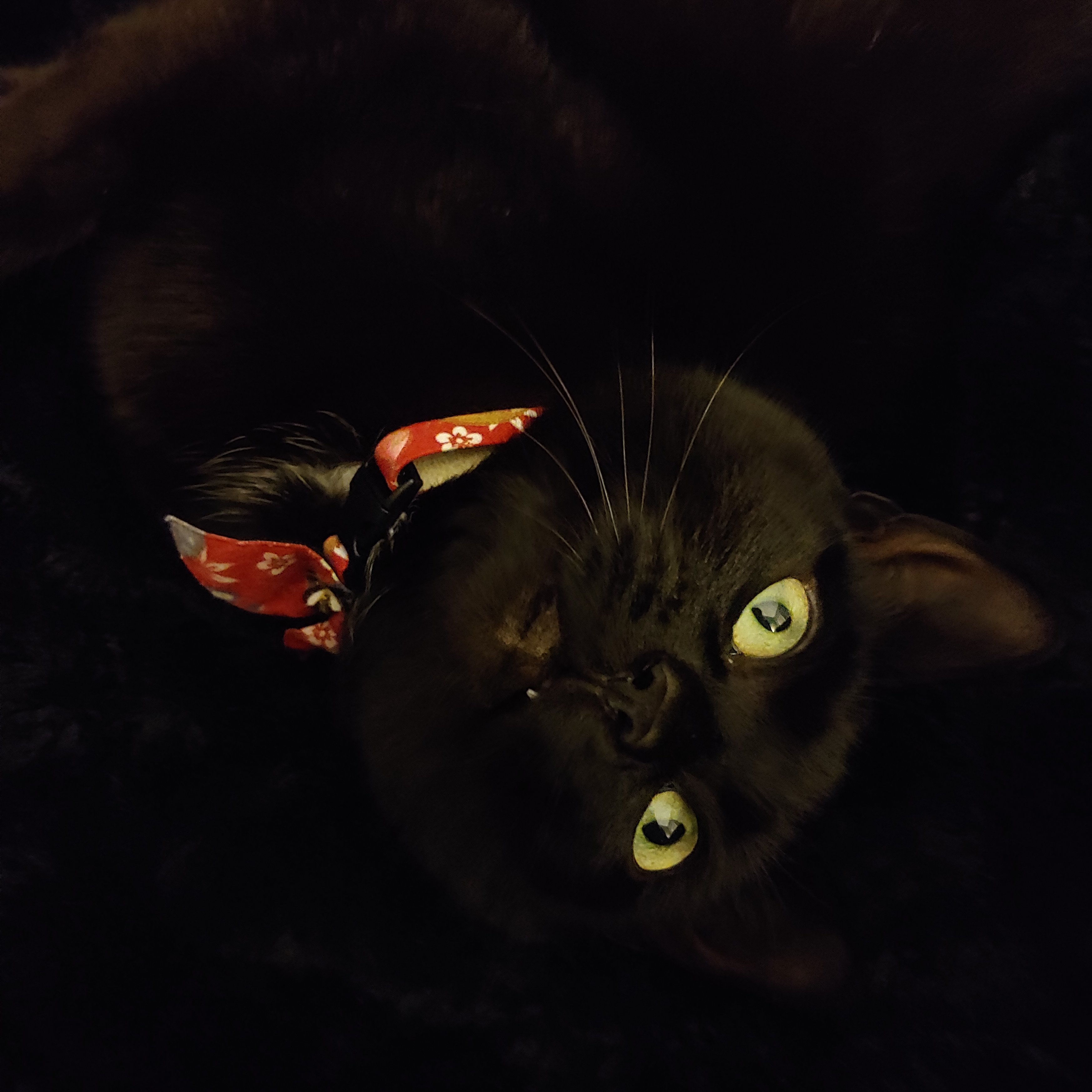 Extrapolation15's profile picture. 