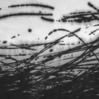 Julie Leach (@julieleachart) 's Twitter Profile