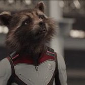 Rocket Raccoon(@RogueRaccoon_) 's Twitter Profile Photo