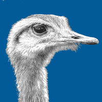 idiotton (@idiotton) Twitter profile photo