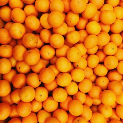 HawleyRosie's profile picture. 