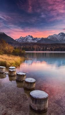 LupitaG23519608's profile picture. Siempre con alegría y sencillez.