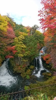 d6cT3SyT9lOFErz's profile picture. さようなら平成、いらっしゃい令和
－思川－