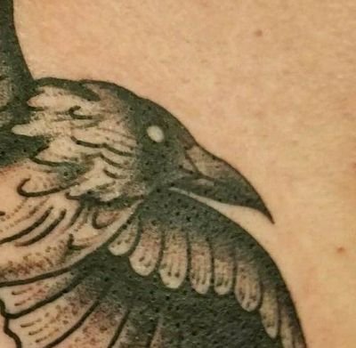 goodbarafan's profile picture. 🔞🦄🐻🐰🐇🐉🦊🐴🐗🦘🍆🍑♓♂️🔞1️⃣8️⃣➕👍 32/M/USA