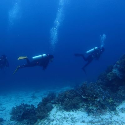 ST09021149's profile picture. 