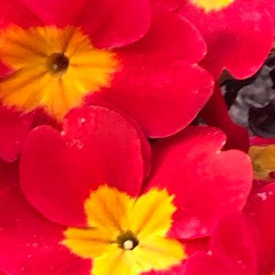 hollywood_timmy's profile picture. 