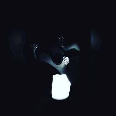 pitbulls_of's profile picture. Noise, American style.
