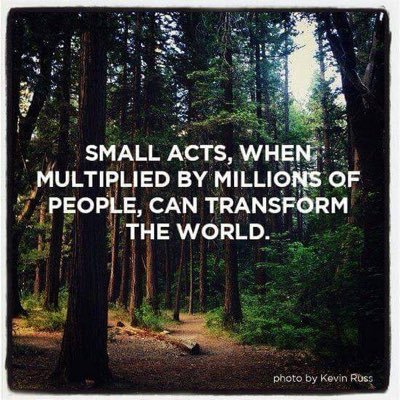 ☮️💙 Peace, not war. Love, not hate. Fight & vote for what you want v. against what you fear. Feed the energy you wish to grow.