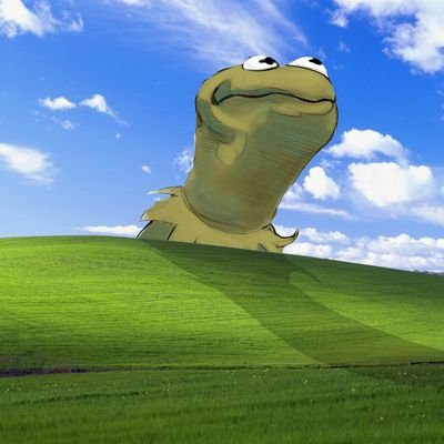 TallLoser1's profile picture. 