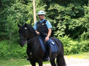 Olivergence's profile picture. 