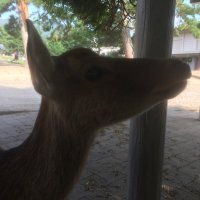 K.zita @ (🐯虎党) (@createkotaro) 's Twitter Profile Photo K.zita @ (🐯虎党) (@createkotaro) 's Twitter Profile Photo