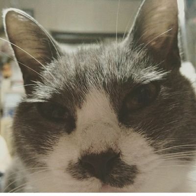 kkai_sea's profile picture. man myself