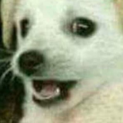 Profile Picture of Xd (@RogelioAleman23) on Twitter