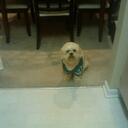 Lou Sharon Garvin - @LSGarvin120 - Twitter