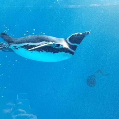 wpjsZ0TMX2EIj7a's profile picture. 