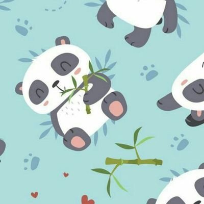 1992_zhina's profile picture. @ programmer - finance