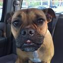 Doug Austin - @dva121 - Twitter