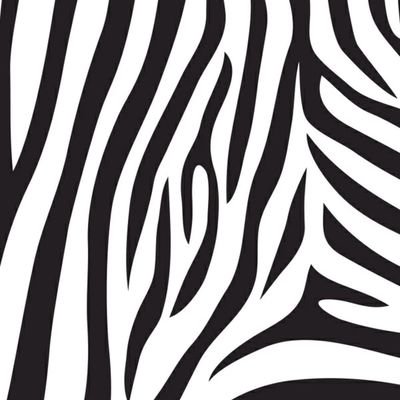 yelin419's profile picture. No summer insect can appreciate the nature of ice, because they have never seen ice.