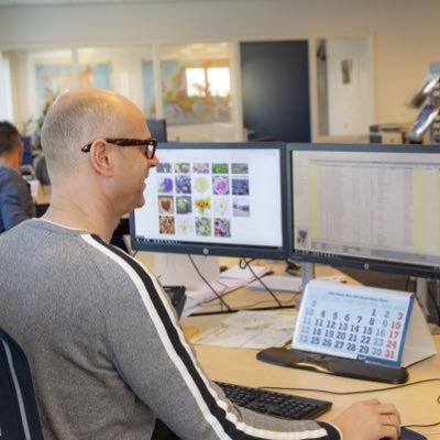 DeGooijerint's profile picture. At DGI, quality has been paramount for three decades. We supply top quality cut flowers, houseplants and garden plants. But we provide even more.