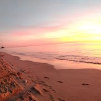 Mohammad Hanifa (@mohammad_hanifa) 's Twitter Profile