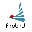 Insulating Firebrick, Bubble Alumina Brick, Corundum Brick & Superduty Silica Brick