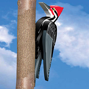 KansasCityHandy's profile picture. Handyman dude in Kansas City