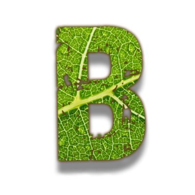Putting the trees back. Coming soon. #reforstation #rewilding #ecoaction #climatechange #carbon