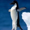 Gabe costa - @Gamergabe11 - Twitter