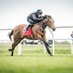 Knockgraffon Stables (@knockgraffon) Twitter profile photo Knockgraffon Stables (@knockgraffon) Twitter profile photo