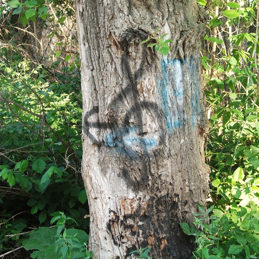 clotild84718155's profile picture. sex,drugs,rock&roll.speed,weed,birth control.lifes a bitch and then you die. so fuck the world and lets get high(;