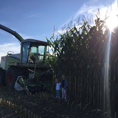 Farming together with my family on our dairy and crop farm in the northeast corner of NY state on the canadian border. Corn, beans, hay, alfalfa are our crops