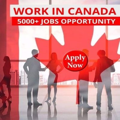 other for job in Canada +1 520-230-3927