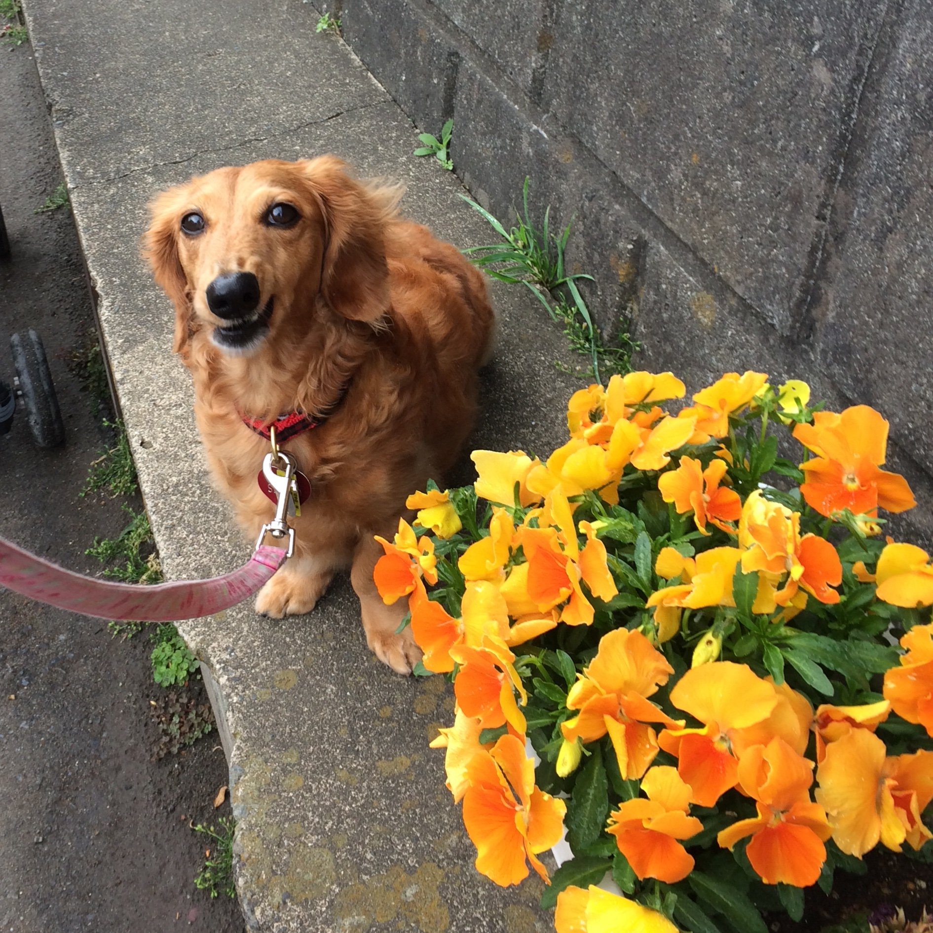 RHyJdiNODbYmFxO's profile picture. 