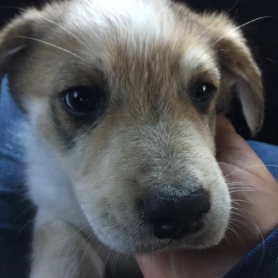 Castill29664877's profile picture. My gamer tag on ps is APA_castill and follow my instagram APA_castill