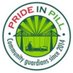 @prideinpill