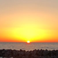 マコト (@macoz841072) Twitter profile photo