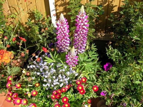 chatsohak's profile picture. 