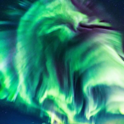 aurorafearnley Profile Picture