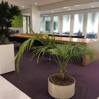 Chemical Engineering TUDelft (@chemetudelft) 's Twitter Profile