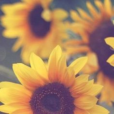 Meg_G97's profile picture. 