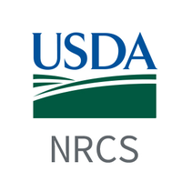 NRCS Florida(@NRCS_FL) 's Twitter Profile Photo