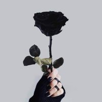 سهـام العنزي 😴🎶 (@h___39) Twitter profile photo