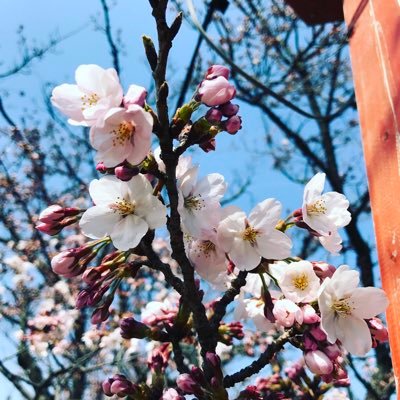 あぶ郎💮さんのプロフィール画像