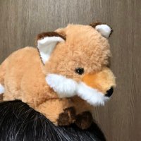 お狐様かもしれないナニカ(@G03Aaaa) 's Twitter Profile Photo