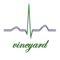 Pulse Vineyard (@pulse_vineyard) 's Twitter Profile