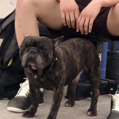 urbanbabru's profile picture. 