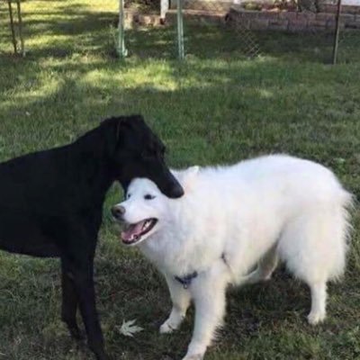 justhelp11's profile picture. 