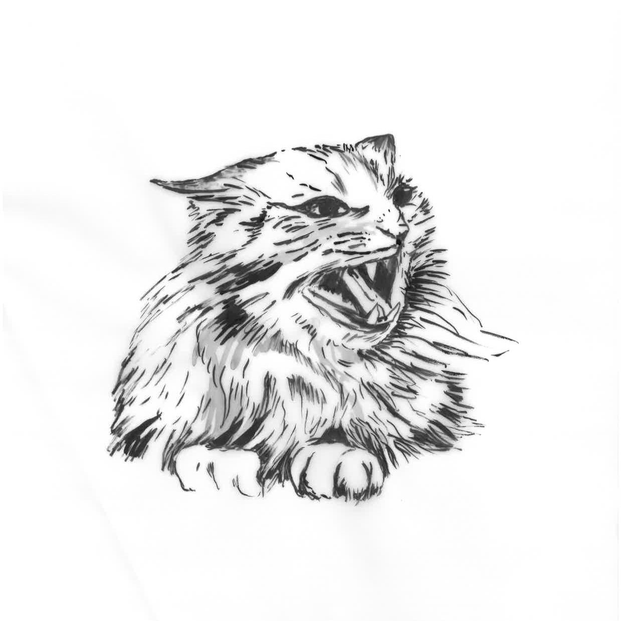 Mouseslayer awakes!
infrequent tweets by Dr Rachel Stenner, University of Sussex
Yogi.Vegan.Runner.Swimmer.Academic.Writer.Tudor Literature.Print Culture.
