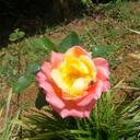 Esteban Brown - @FUNCONAREALTY - Twitter